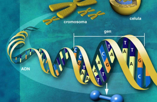 Proteomics and Genomics