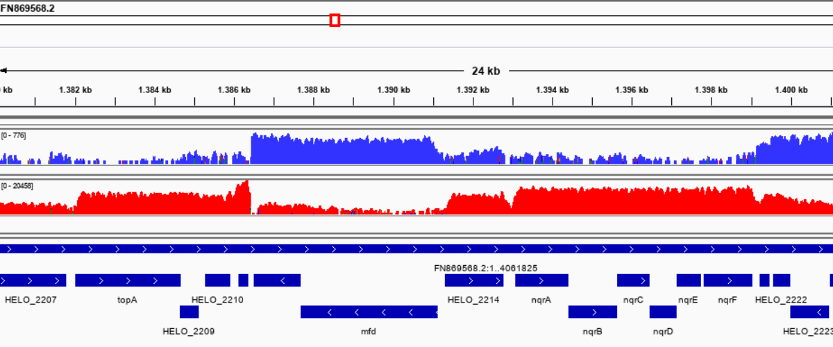 Bioinformatics and Computational Biology (BIO2COMP)
