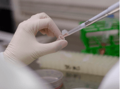 Cell culture core